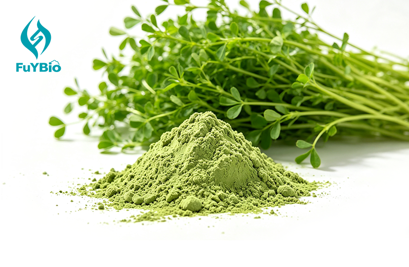 Organic Alfalfa Powder